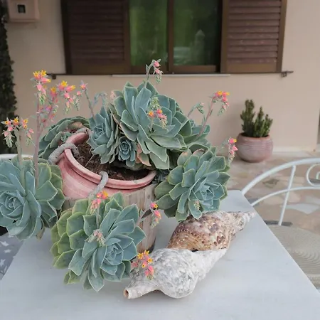 Гостевой дом Sofia's Place Сами